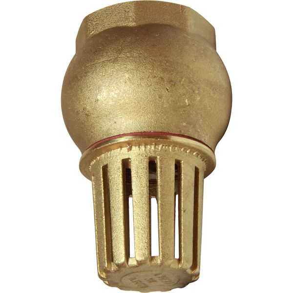 Maestrini, Valve de pied en laiton Maestrini (1-1/4" BSP femelle)